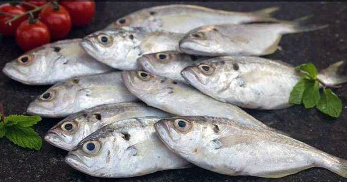 They Reason Fish 9 Reasons why you Need to Eat More Fish - Featured Magazine